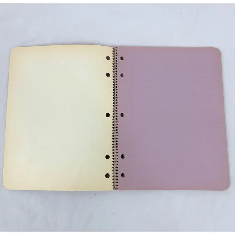 Vintage 1970s Westab Mead Love Notes Spiral Notebook Lot Color Filled Paper Rare